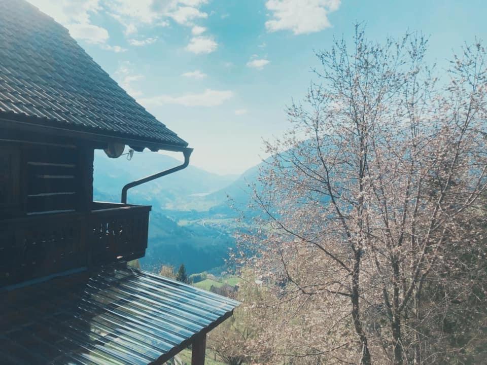 Bauernhof Oberfriessnig Villa Radenthein Dış mekan fotoğraf