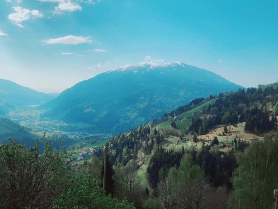 Bauernhof Oberfriessnig Villa Radenthein Dış mekan fotoğraf